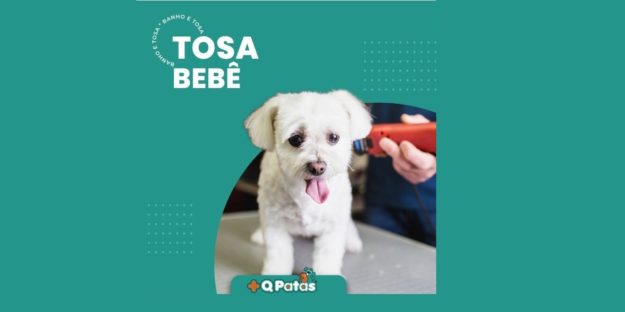 Tosa Bebe