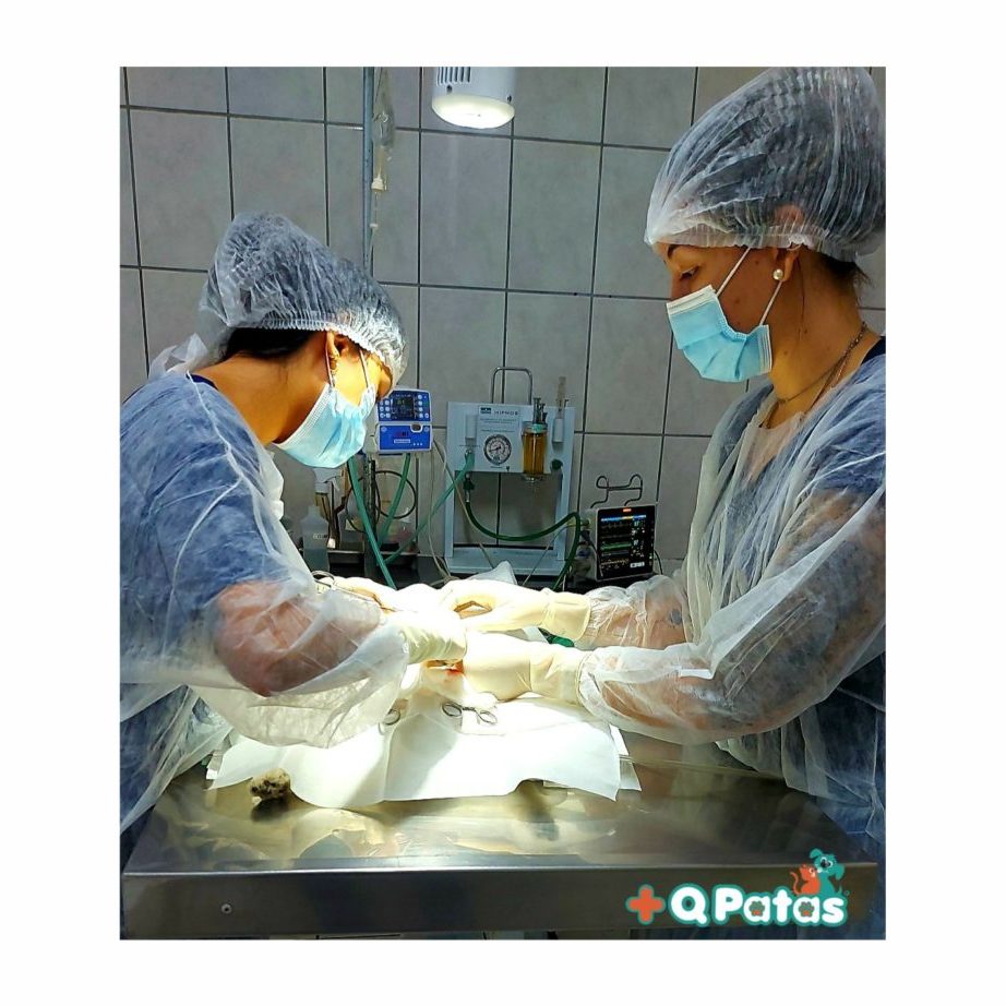 Cirurgia de Esplenectomia