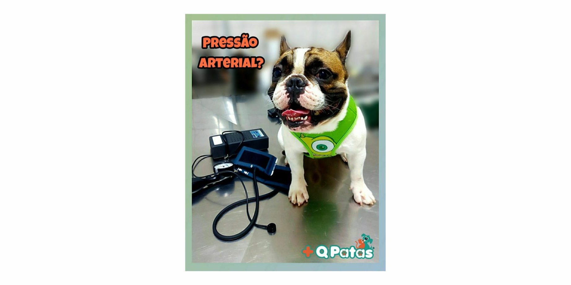 Pressão Arterial