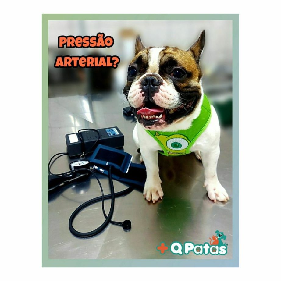 Pressão Arterial