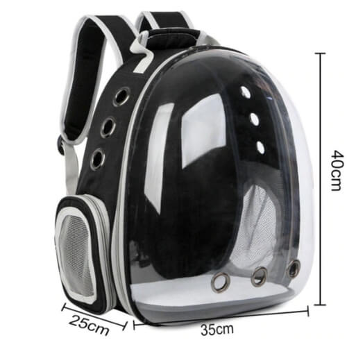 MaisQPatas Um novo conceito de em Valinhos