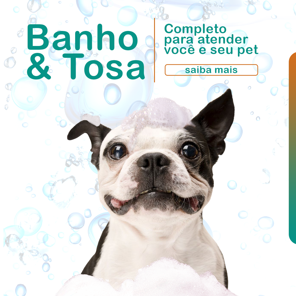 Tem Pet Shop para banho e tosa perto de mim?Love for Pet!